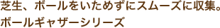 カナガワクロレラ
